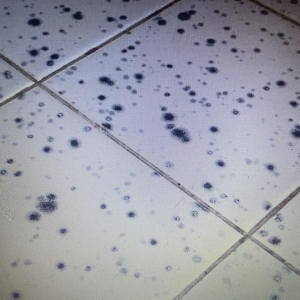 Photo of Anthony's Bath & Kitchen