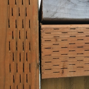Photo of Olson's Outdoor Improvements