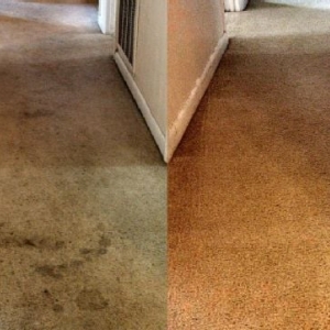 Photo of CleanMax Incorporated