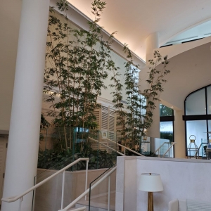 Miami AM Spazio Design