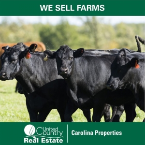 Photo of United Country Carolina Properties