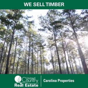 Photo of United Country Carolina Properties
