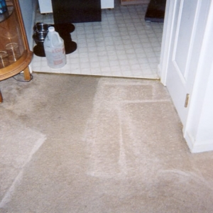Photo of Professional Carpet Systems
