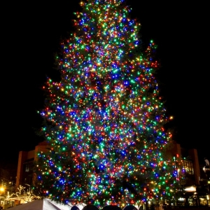 Photo of Hollywood Lights