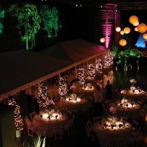 Photo of Hollywood Lights