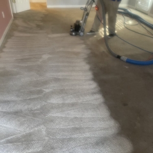 Photo of Carolina Carpet Cleaning of the Midlands