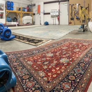 Photo of Carolina Carpet Cleaning of the Midlands