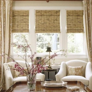 Photo of Ann Shirley Custom Blinds Design Company