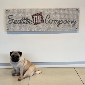 Photo of Seattle Tile & Design