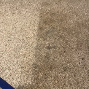 Photo of San Marcos Carpet Cleaning