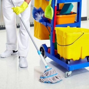 Chelsea DNS House Cleaning Service