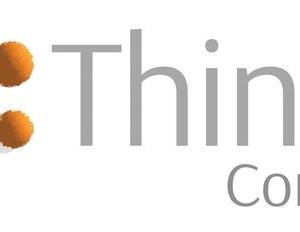 Photo of ThinkWell Consulting