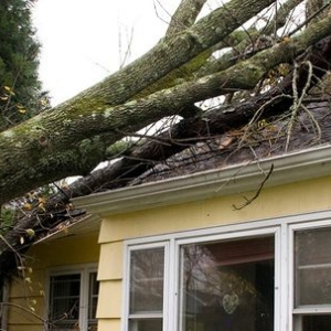 Photo of Lee's Professional Services