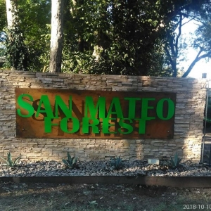 Photo of Enriquez custom landscape