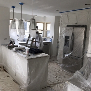 Photo of North Shore Painting & Restoration