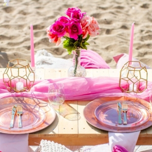 Photo of Litnics