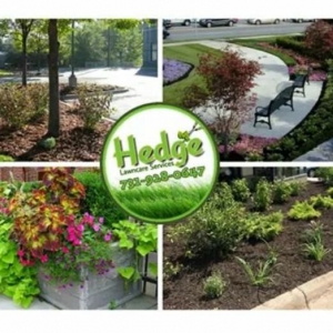 Henderson Hedge Lawncare Services