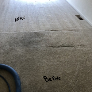 Denver MSS Cleaning
