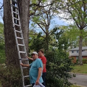 Norfolk A Better Handyman