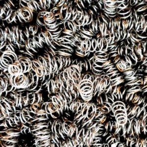 Photo of Royal Coil