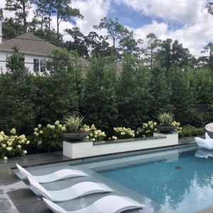 Photo of Sweetwater Pools