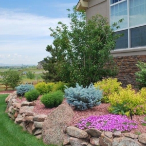 Photo of Pioneer Landscape Centers