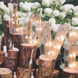 Photo of Premier Party Rentals