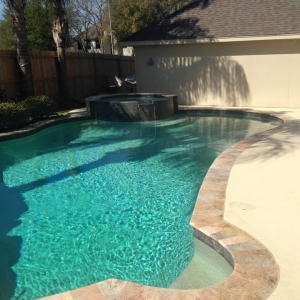 Photo of Parrot Head Pool Service
