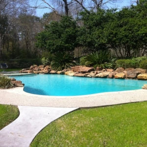 Photo of Parrot Head Pool Service