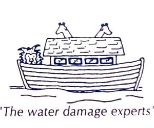 Photo of Bay Area Water & Smoke Damage Restoration