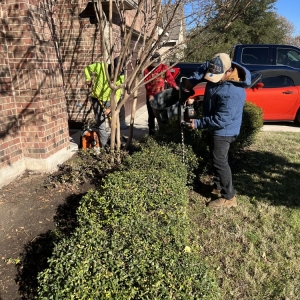 Photo of Joe's Tree Care