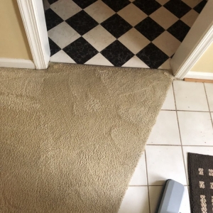Photo of Pugh's Professional Carpet Cleaning