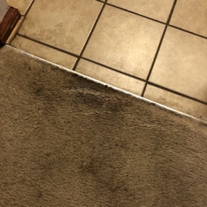 Photo of Pugh's Professional Carpet Cleaning