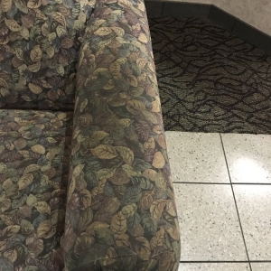 Photo of Pugh's Professional Carpet Cleaning