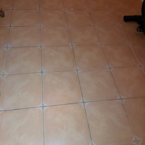 Sunrise Prime Restoration & Cleaning