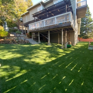 Photo of Replicated Grass Systems