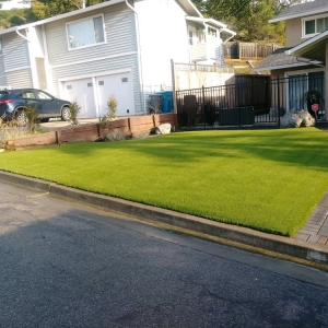 Photo of Replicated Grass Systems