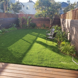 Photo of Replicated Grass Systems