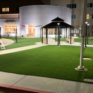 Photo of Replicated Grass Systems