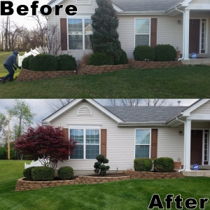 Photo of Matt's Lawncare