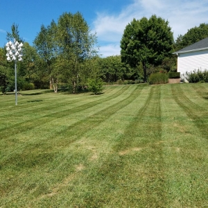Photo of Matt's Lawncare