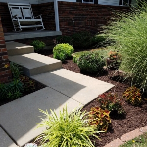Photo of Matt's Lawncare