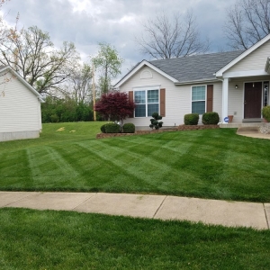 Photo of Matt's Lawncare