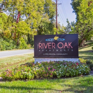 Louisville River Oak