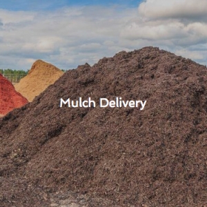 Photo of Maffucci and Son Dumpster Services