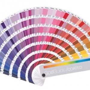 Photo of Silkscreen Customs