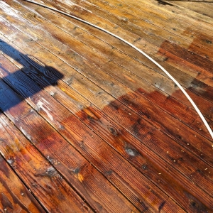 Photo of Next Gen Staining