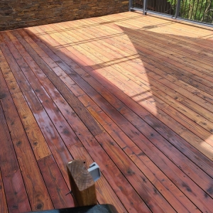 Photo of Next Gen Staining