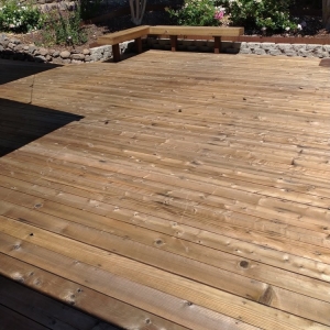 Photo of Next Gen Staining