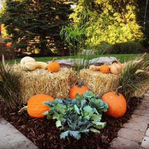 Photo of Embassy Landscape Group